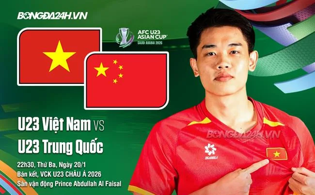Các giải đấu đá gà trực tuyến